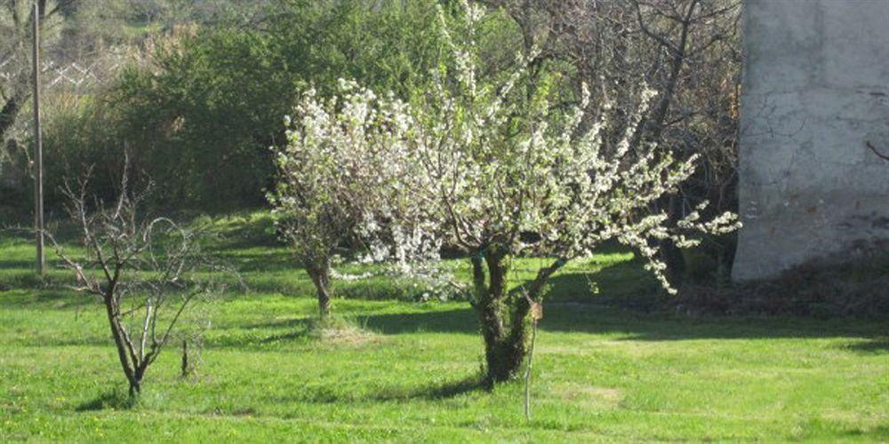 Comodidades del Alojamiento La Camaldola