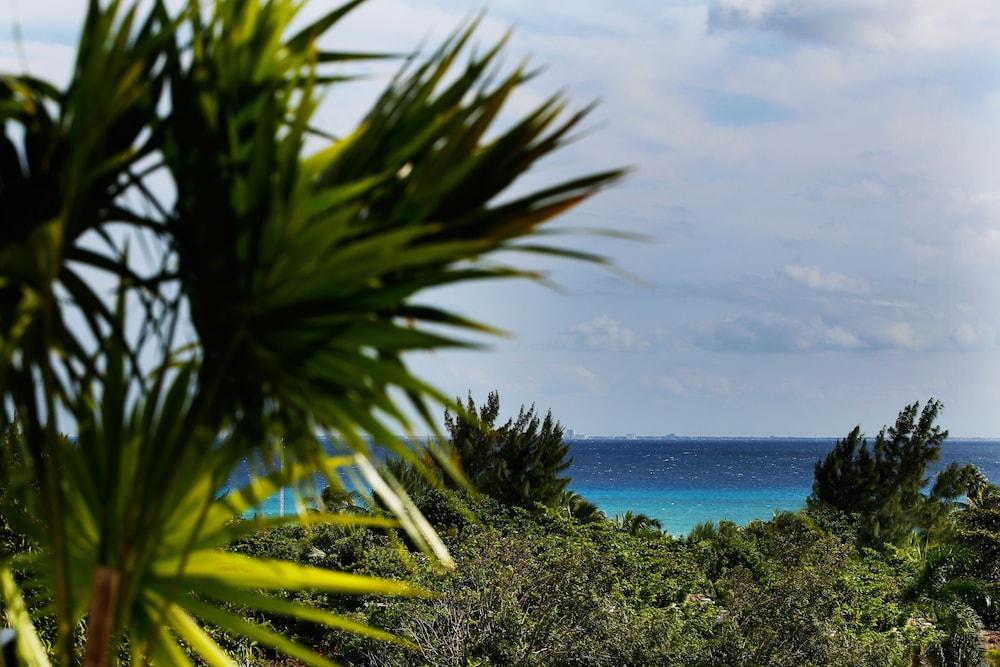 Playa Hotel La Semilla, Playa del Carmen, a Member of Design Hotels - Adults Only