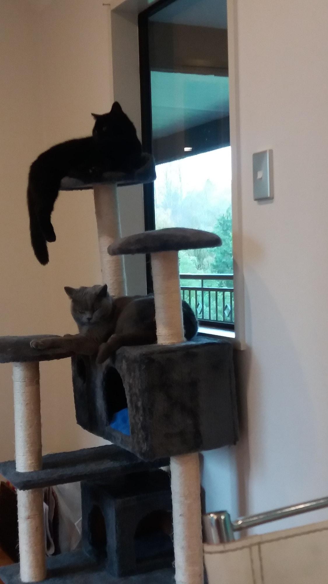 Vista Lobby Riverstone House