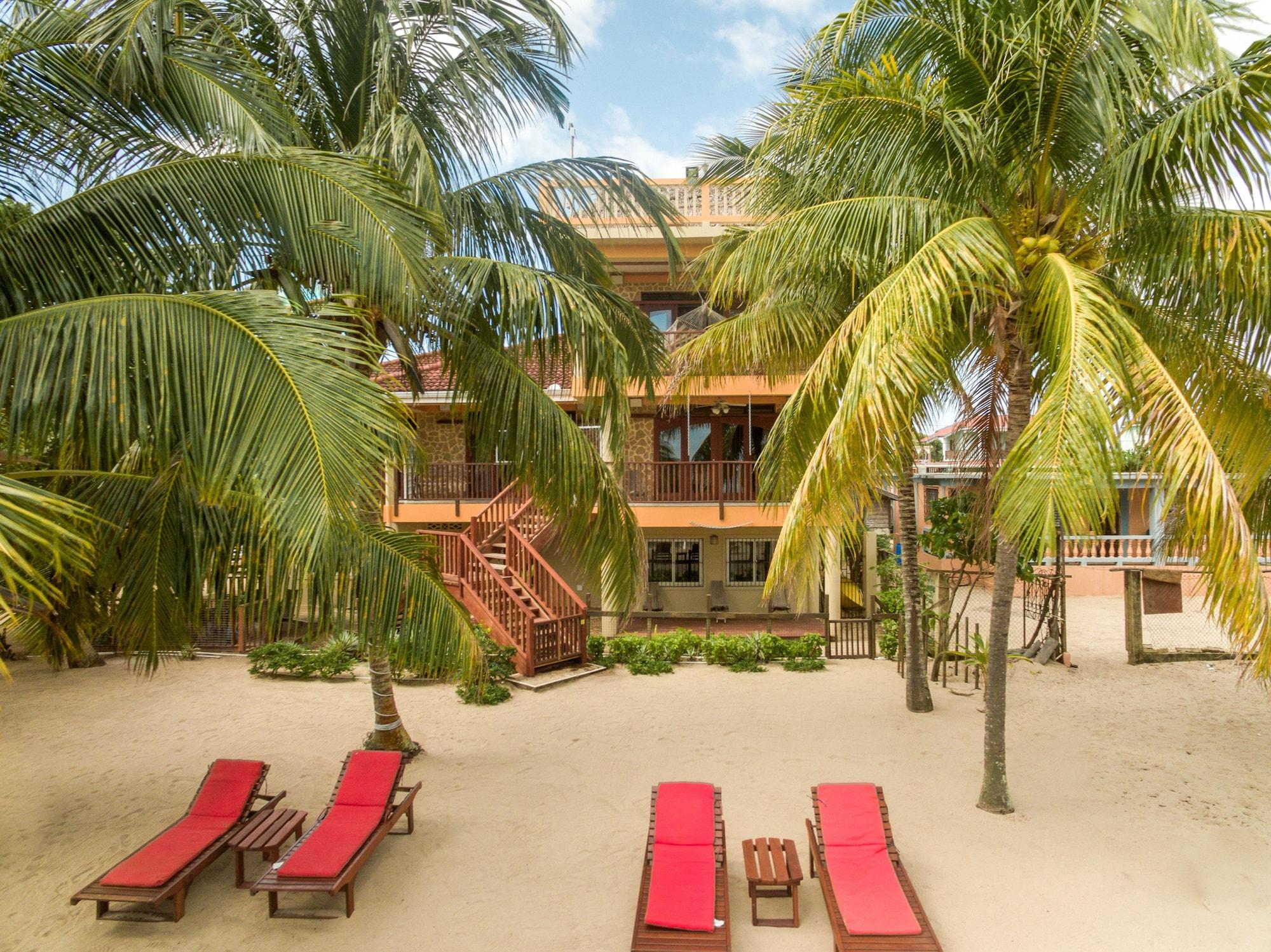 Varios Buttonwood Belize