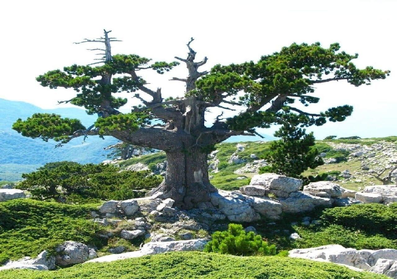 Instalaciones Recreativas B&B Il Ghiro - Country House