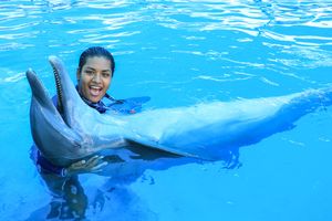 Actividad - Puerto Vallarta: Dolphin Swim Adventure