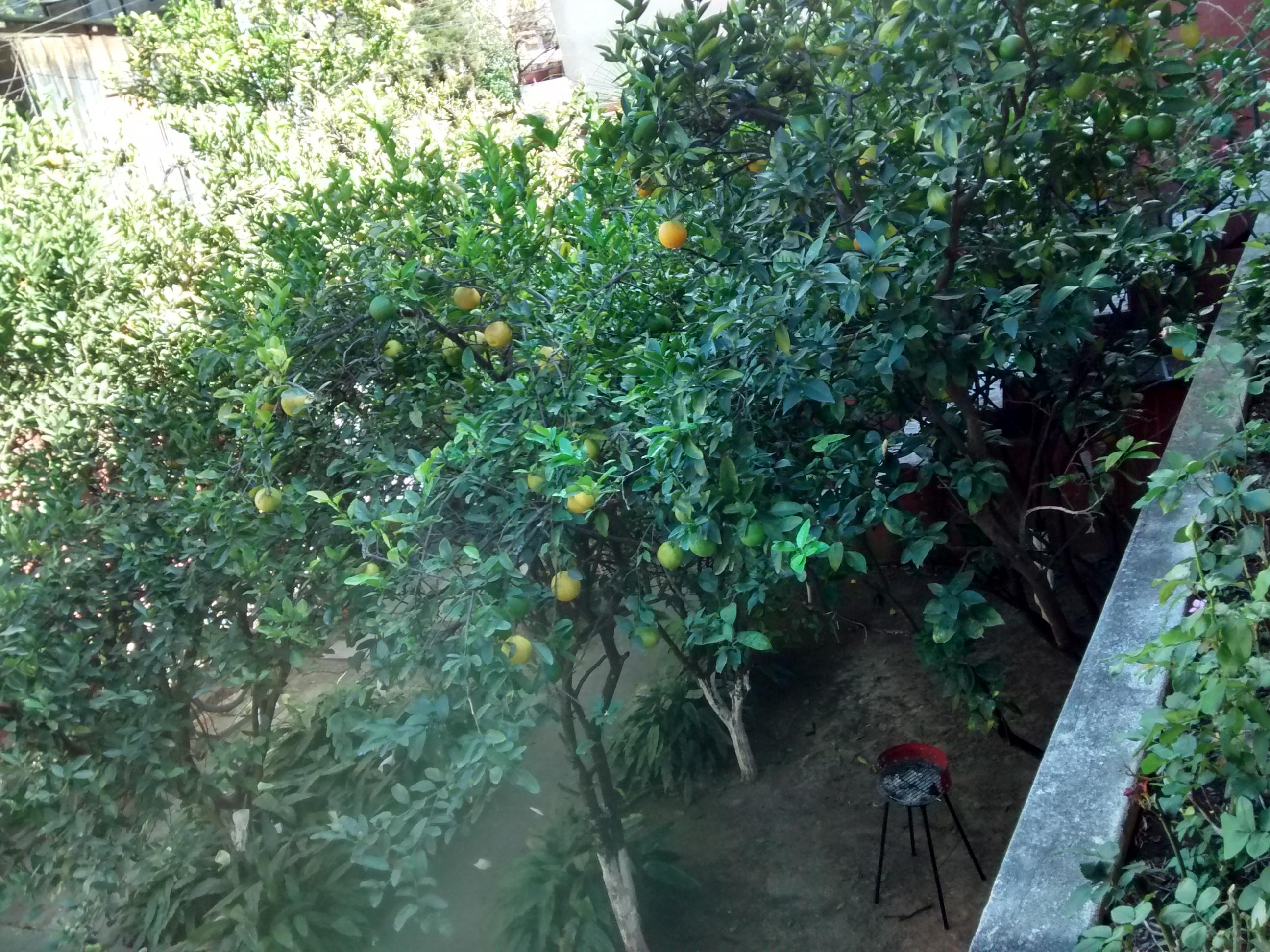 Vista Exterior Posada Don Carlos