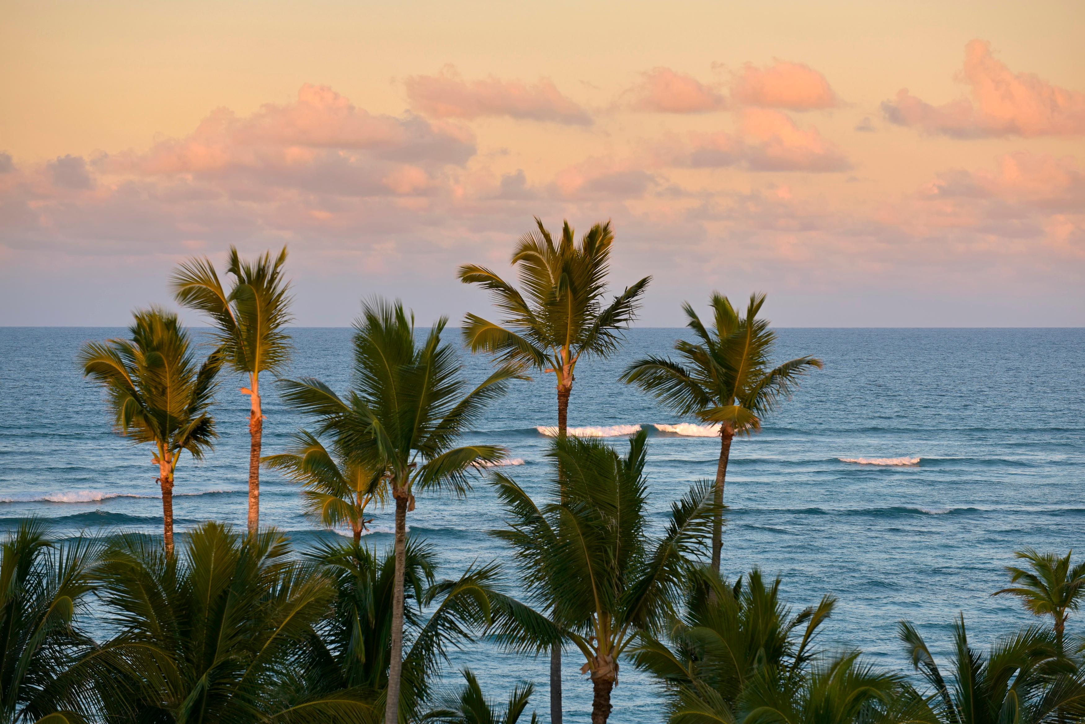 Playa Iberostar Waves Dominicana - All Inclusive