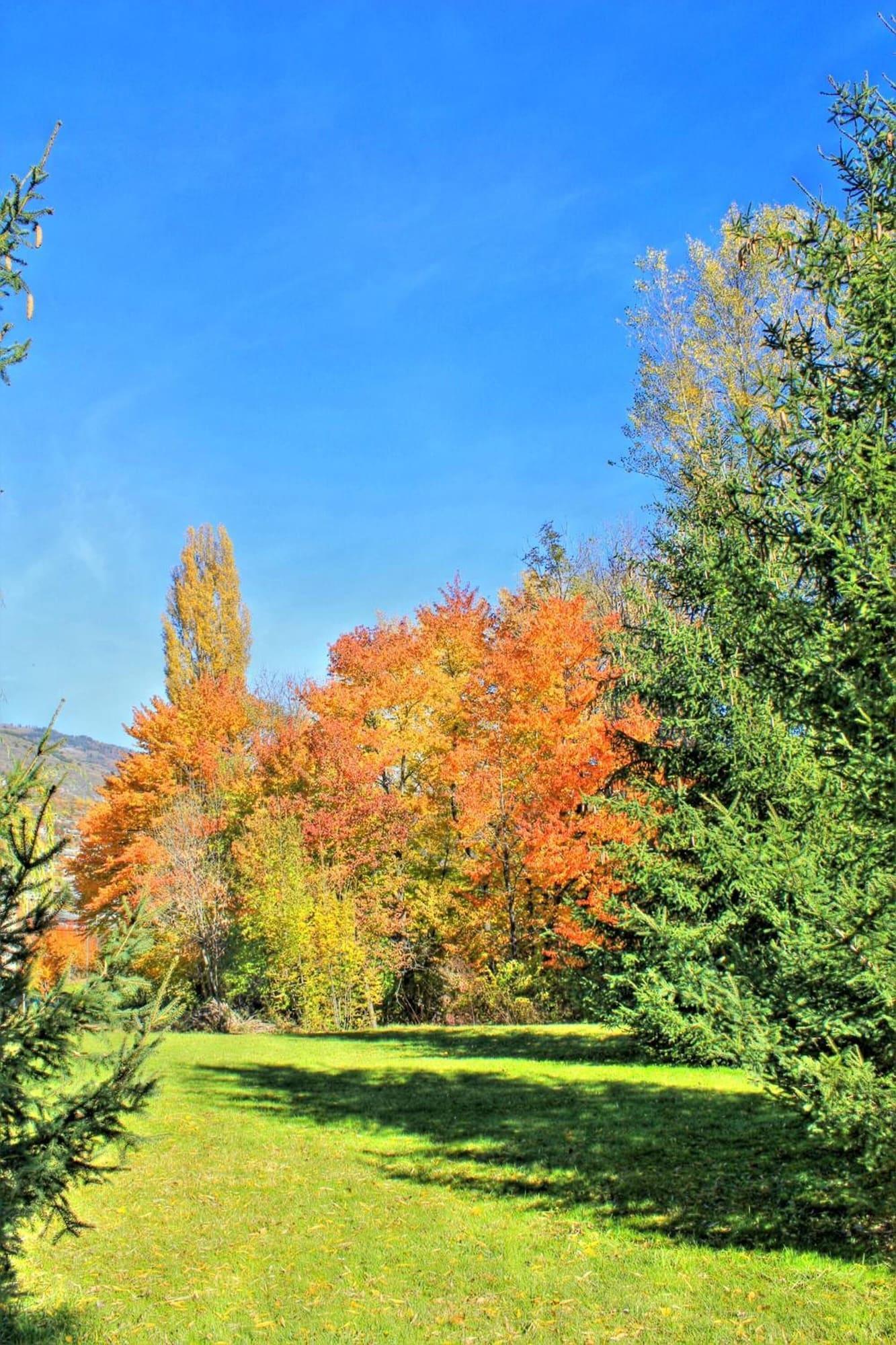 Vista Exterior Hotel Sarre
