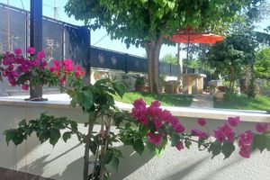 Alquiler Vacacional - APARTMENT IRE '"enjoying nature with a beach holiday"
