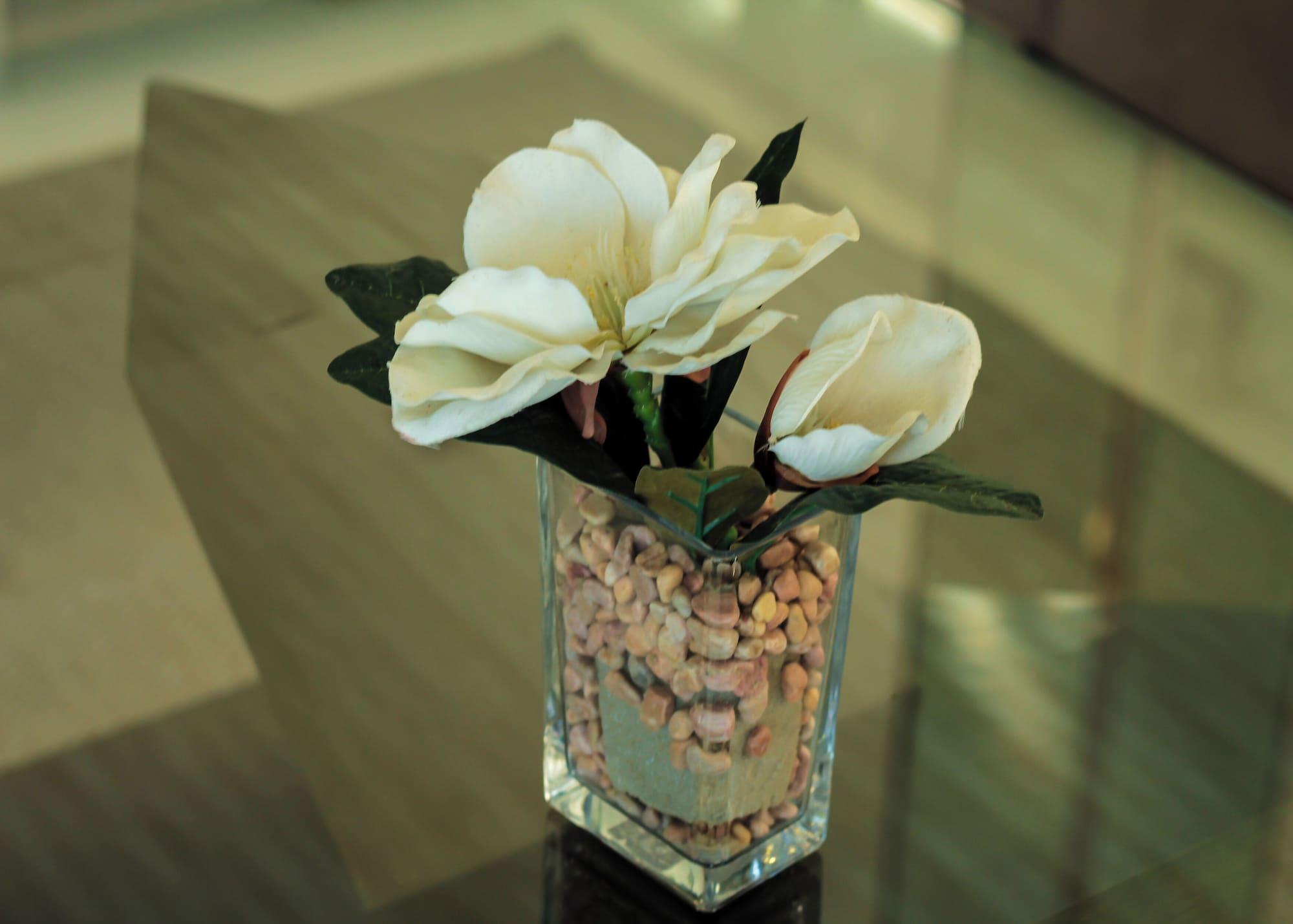 Spa Casablanca Suites Near Airport