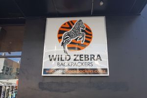 Alojamiento - Wild Zebra Backpackers