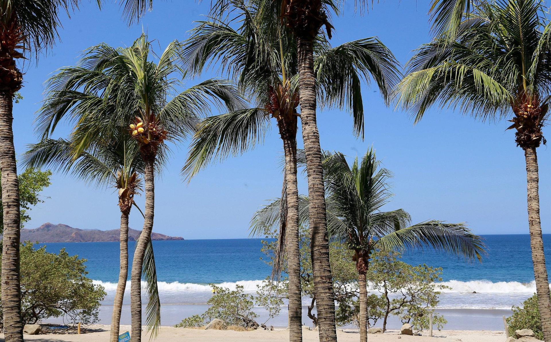 Playa Margaritaville Beach Resort Playa Flamingo