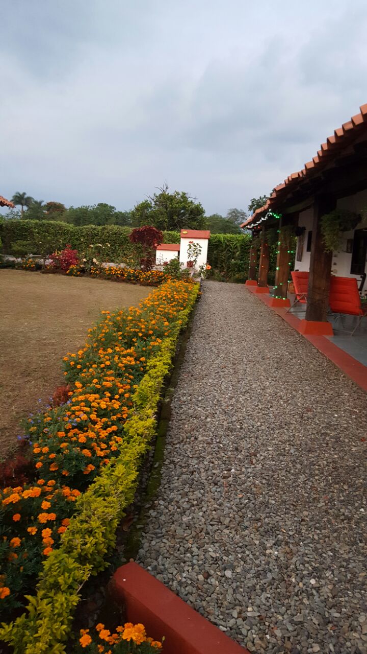 Varios La Finca De Mi Abuelo