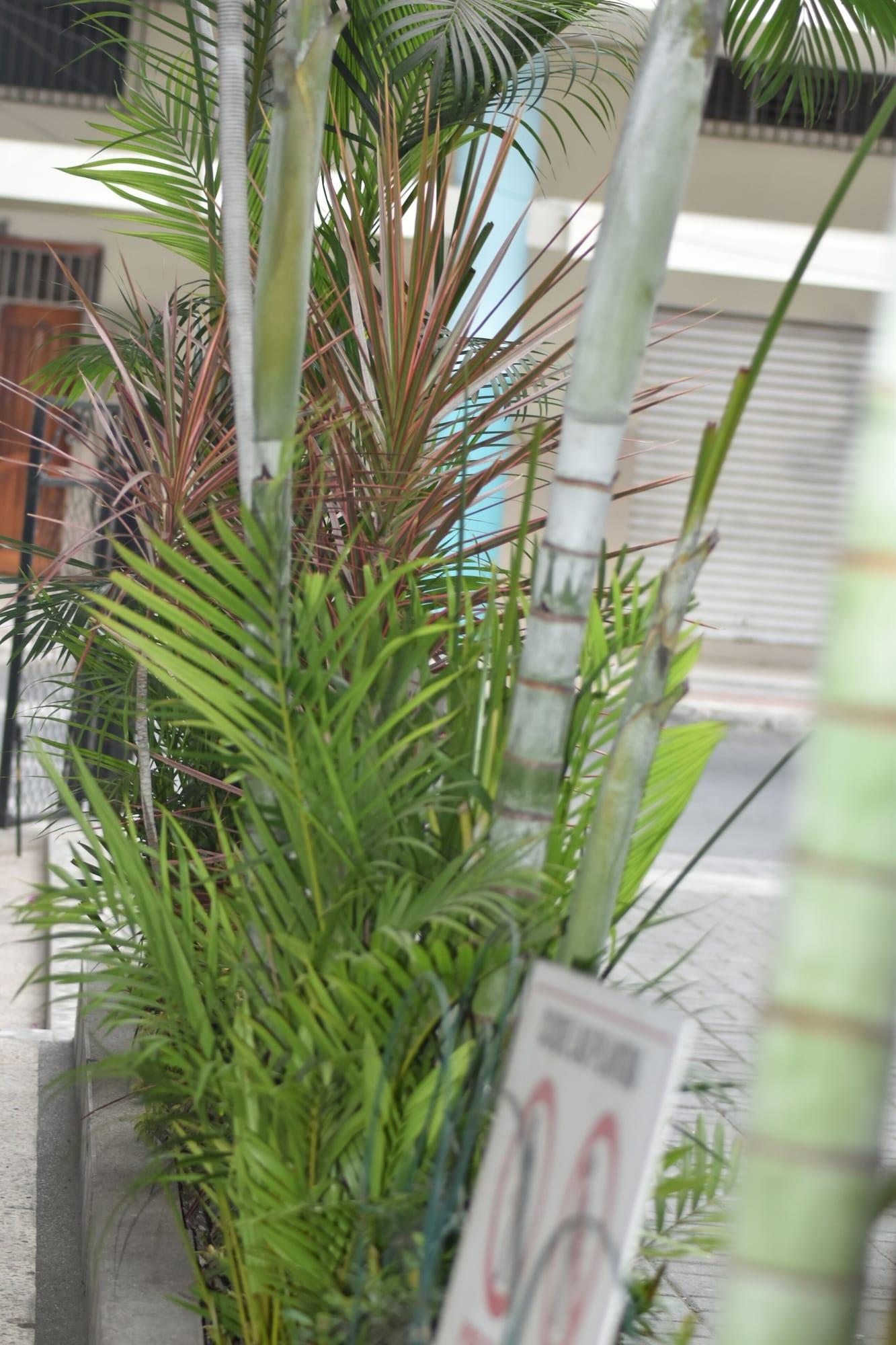 Vista Exterior Hotel Manta Real