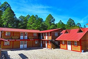 Alojamiento - Cabañas Darely