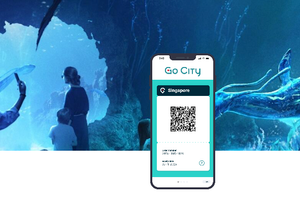 Actividad - Go City - Singapur Explorer Pass