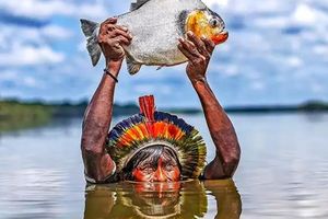 Actividad - Tour de pesca de un día