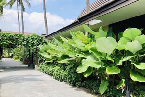 Alojamiento - Khanom Beach Resort & Spa