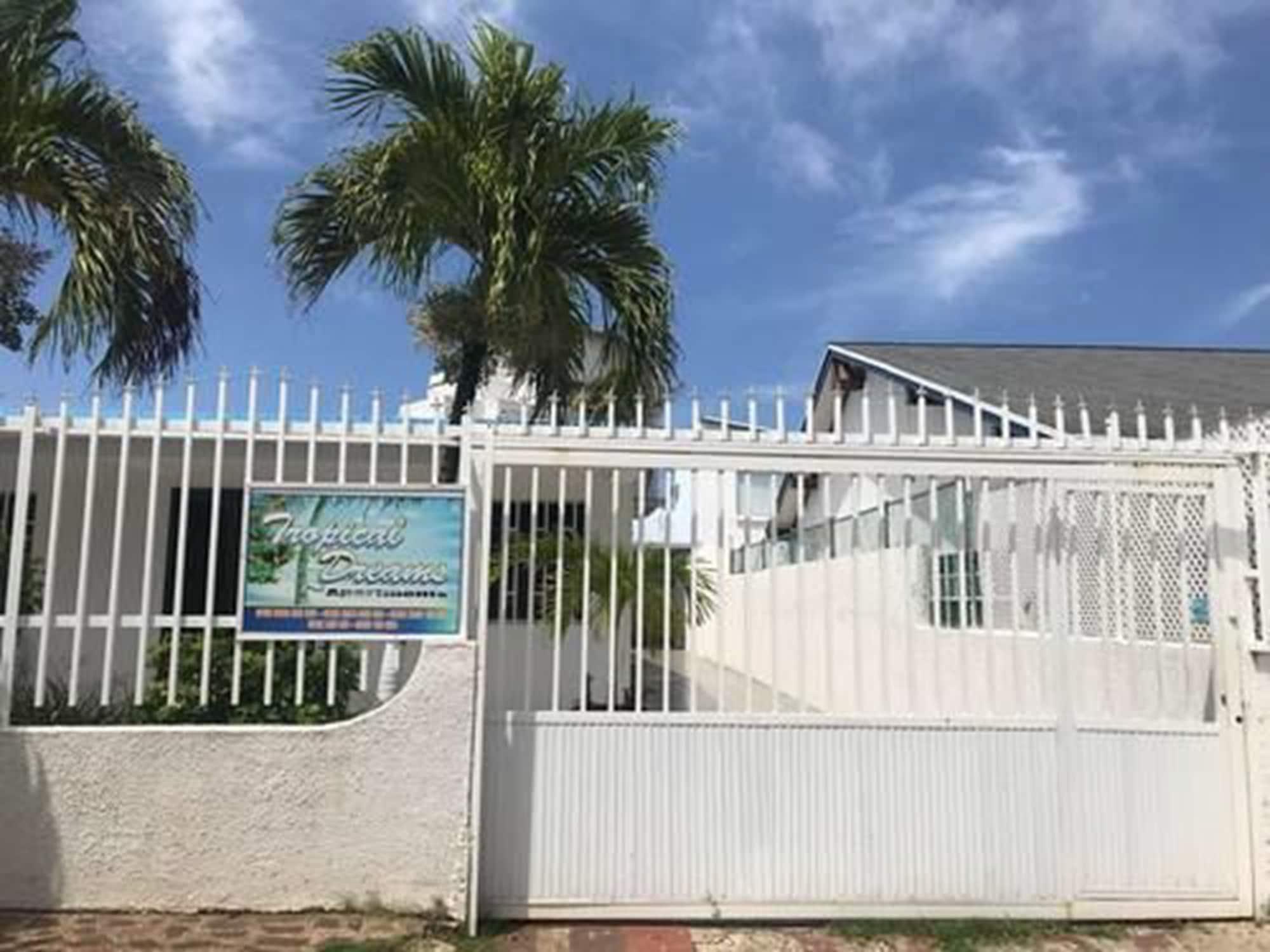 Varios Tropical Dreams