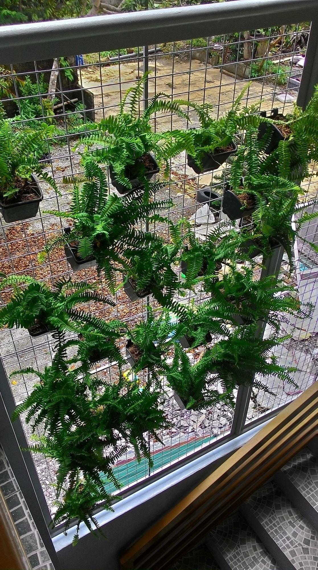 Comodidades del Alojamiento Emperor's Suites