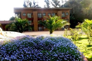 Alojamiento - Las Montañas de Olmué