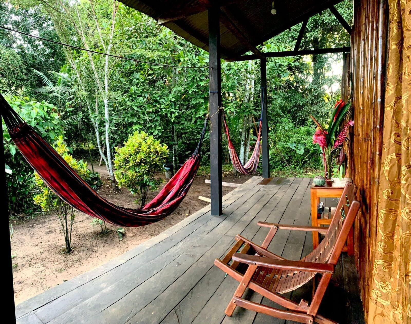 Varios amazonian oropendola tambopata