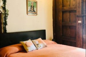Alquiler Vacacional - Tizapán Beautiful apartment with patio 1BE/1BA