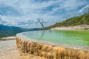 Actividad - Tour a el Tule, Mitla y Hierve el Agua