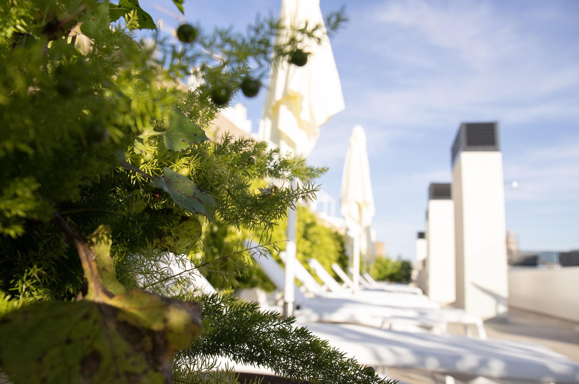 Vista Exterior nQn Aparts & Suites Sevilla