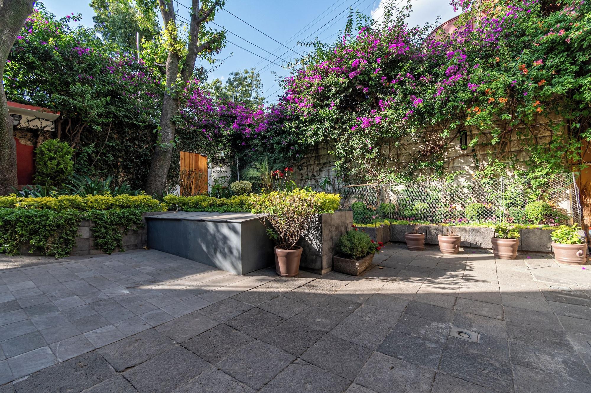 Vista Exterior Terraza & Loft San Ángel