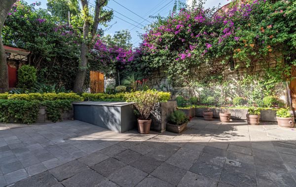 Terraza & Loft San Ángel - Hoteles cerca de Six Flags en Ciudad de México