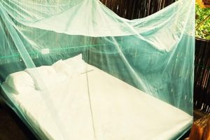 Alojamiento - Oasis Hostal Restaurante