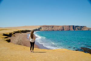 Actividad - Islas Ballestas y Reserva de Paracas - Escapada de día completo