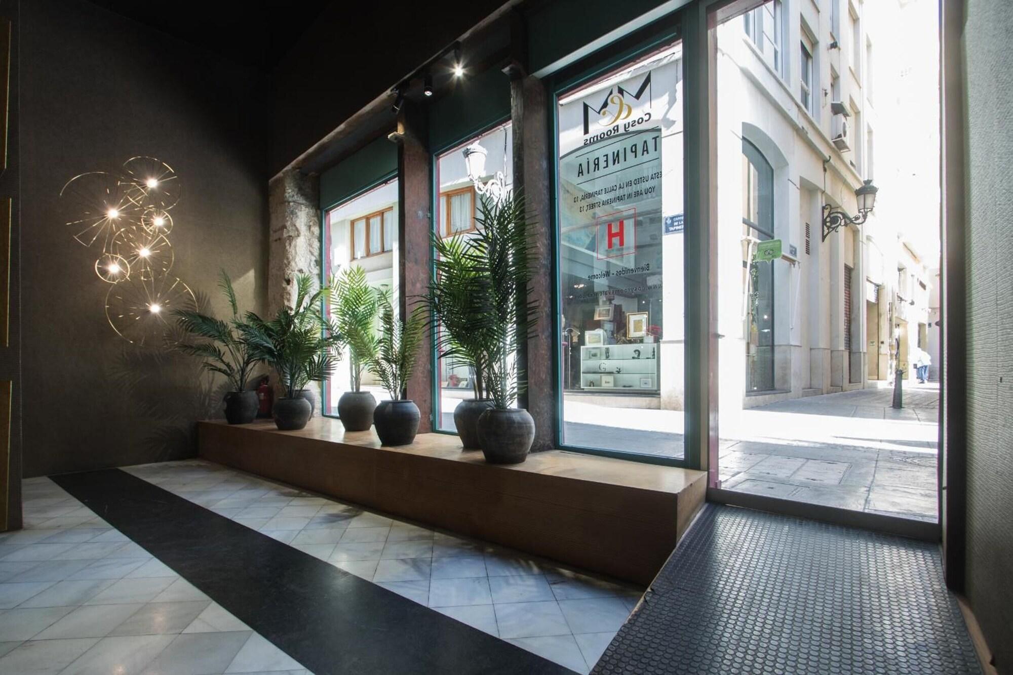 Comodidades del Alojamiento Cosy Rooms Tapinería