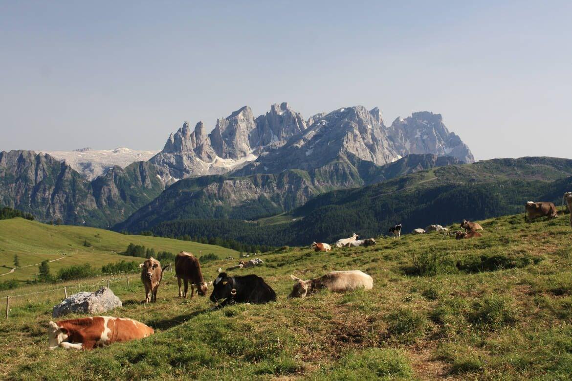 Instalaciones Recreativas Hotel Stella Alpina