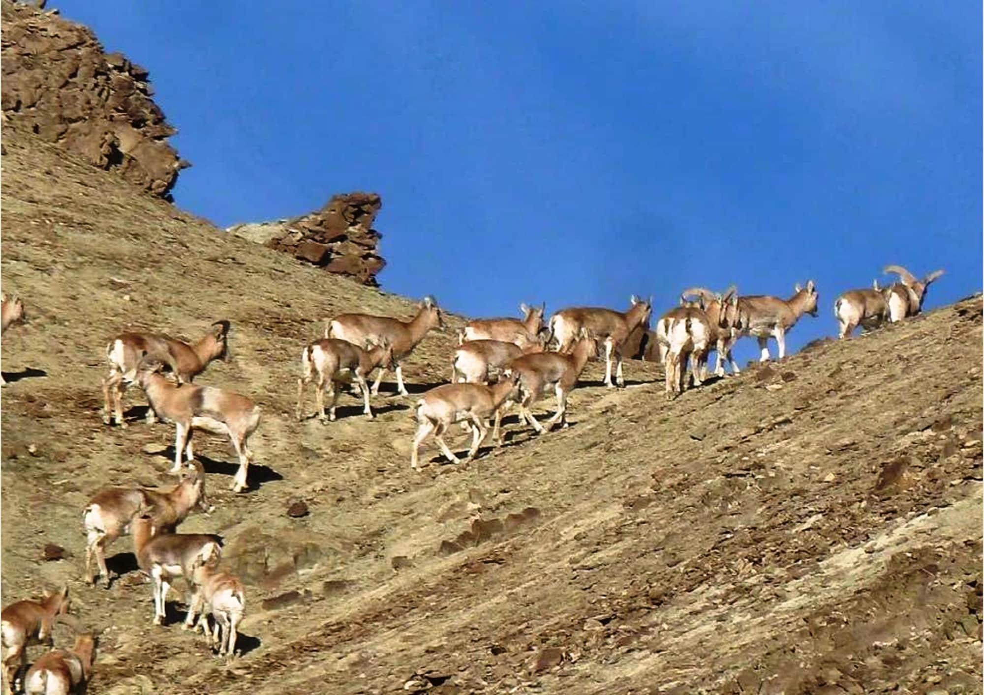 Equipamiento de Habitación TIH Namra Village Hotel - Temisgam