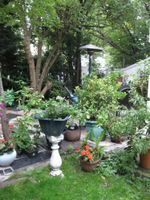 Alojamiento - Juliette's Bed and Breakfast