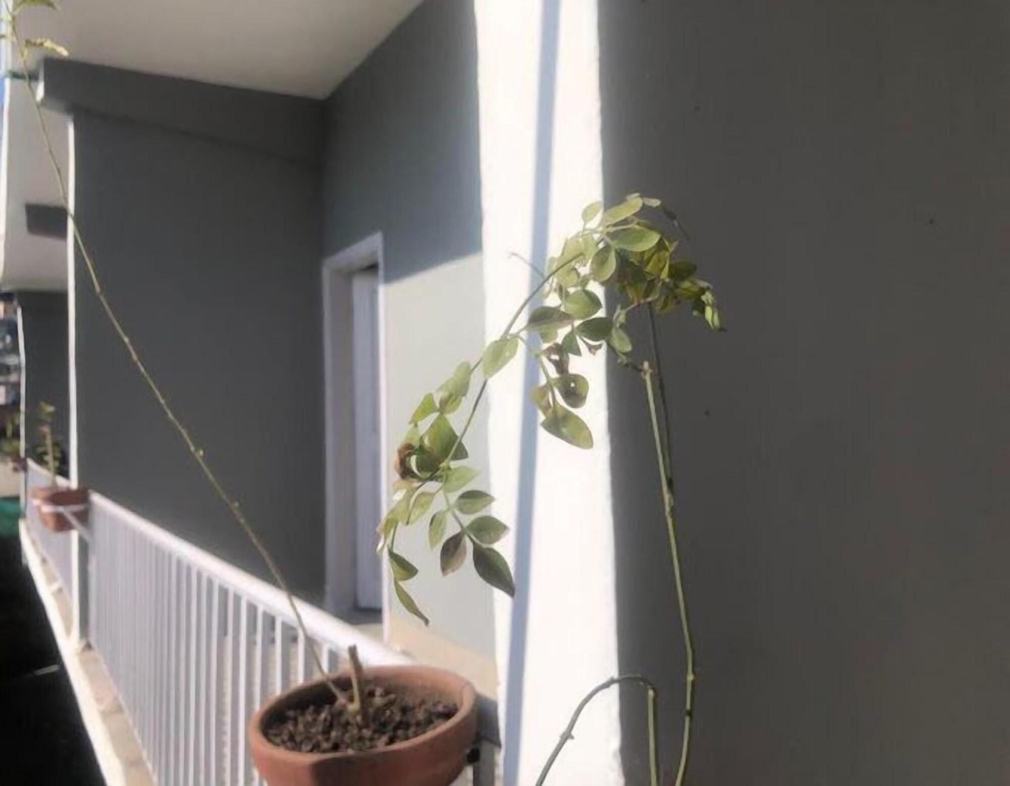 Comodidades del Alojamiento Outdoor Adventures Resort