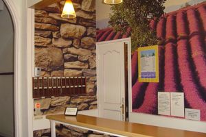 Alojamiento - Le Saint Domingue