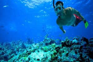 Actividad - Excursión a Cayo Hueso y esnórquel