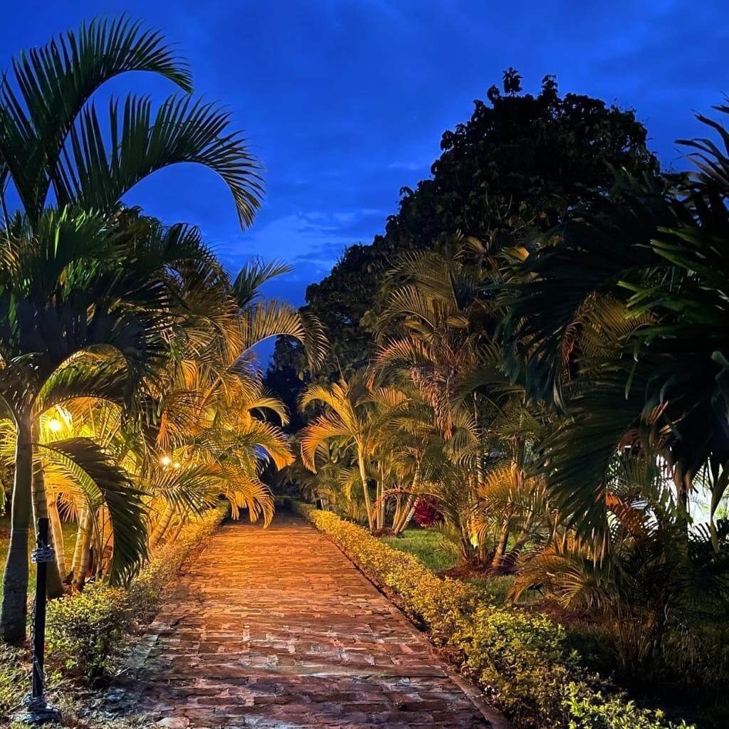 Vista Exterior ECOPARADISE
