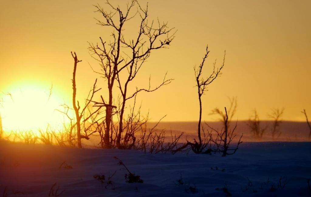 Playa Máttaráhkká Northern Lights Lodge