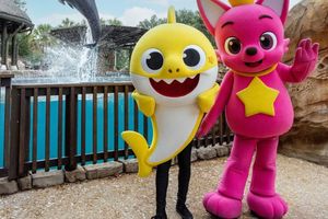 Actividad - SeaWorld San Antonio