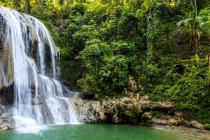 Actividad - Excursión a las cascadas de Gozalandia