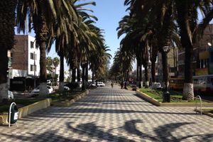 Actividad - Tours Tarata y Ticaco