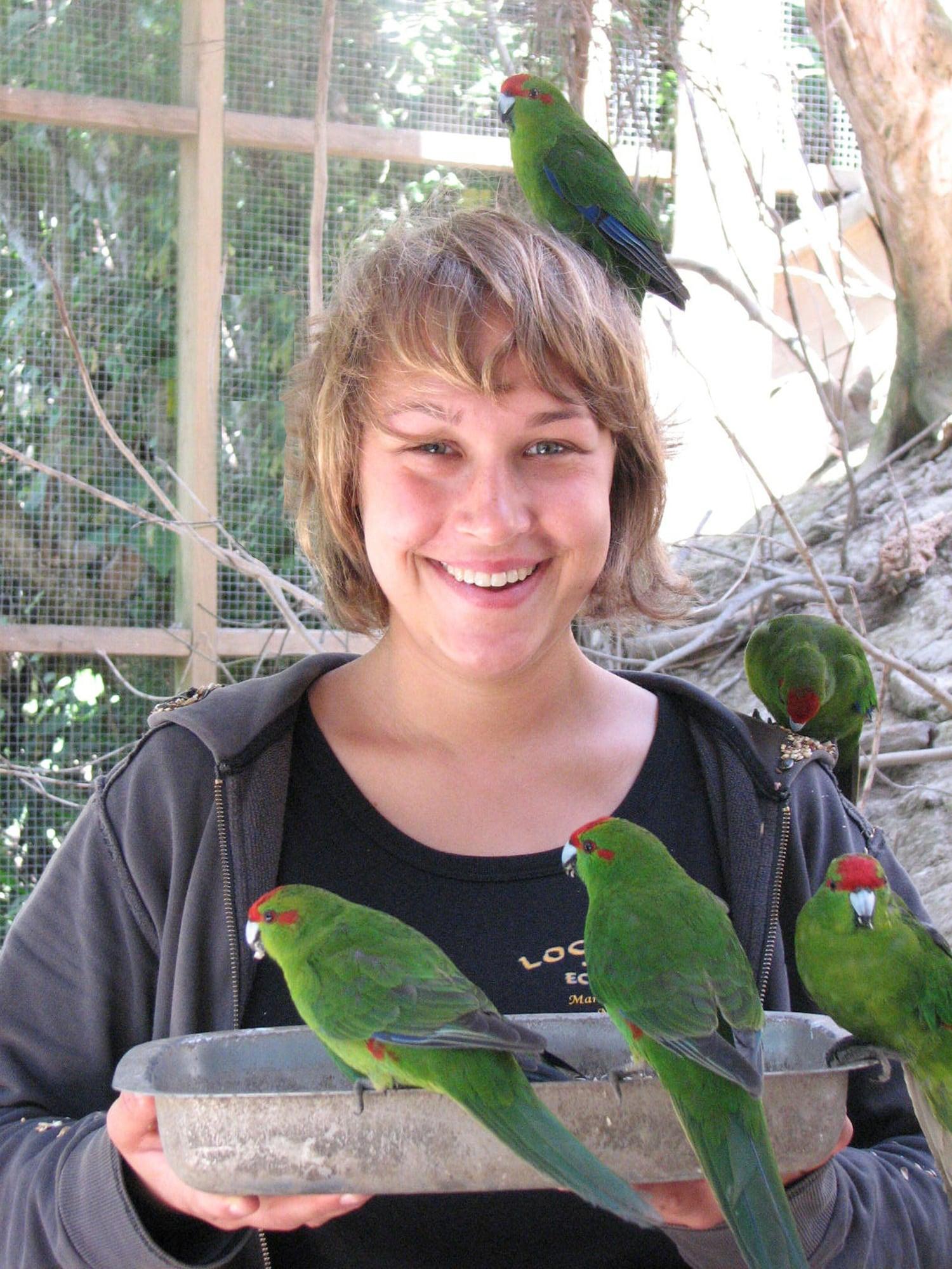 Instalaciones Recreativas Lochmara Lodge