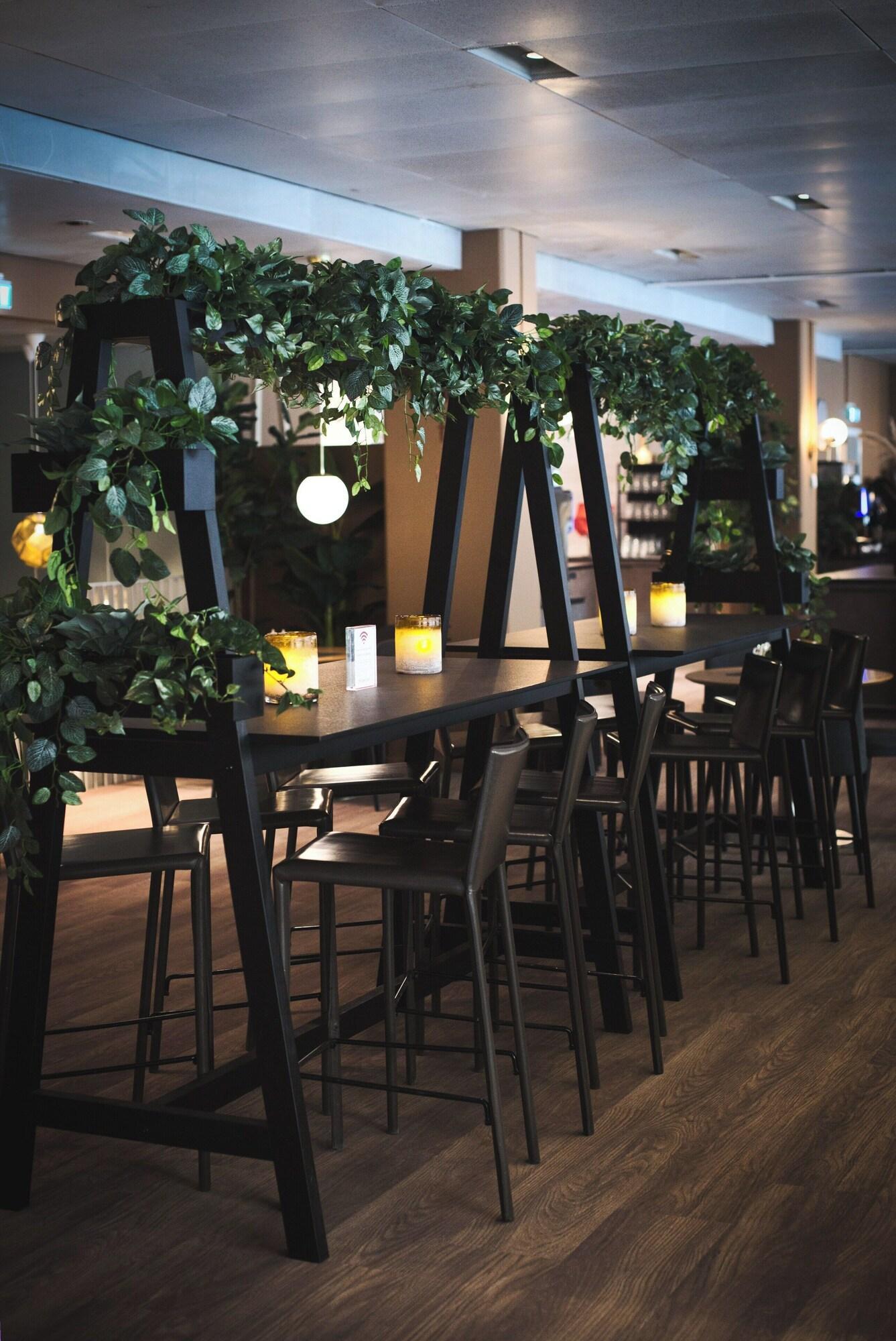 Bar/Salón Hotel Birger Jarl