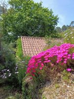 Alquiler Vacacional - Gatao: Cottage in the begining of Douro very cosy and peaceful