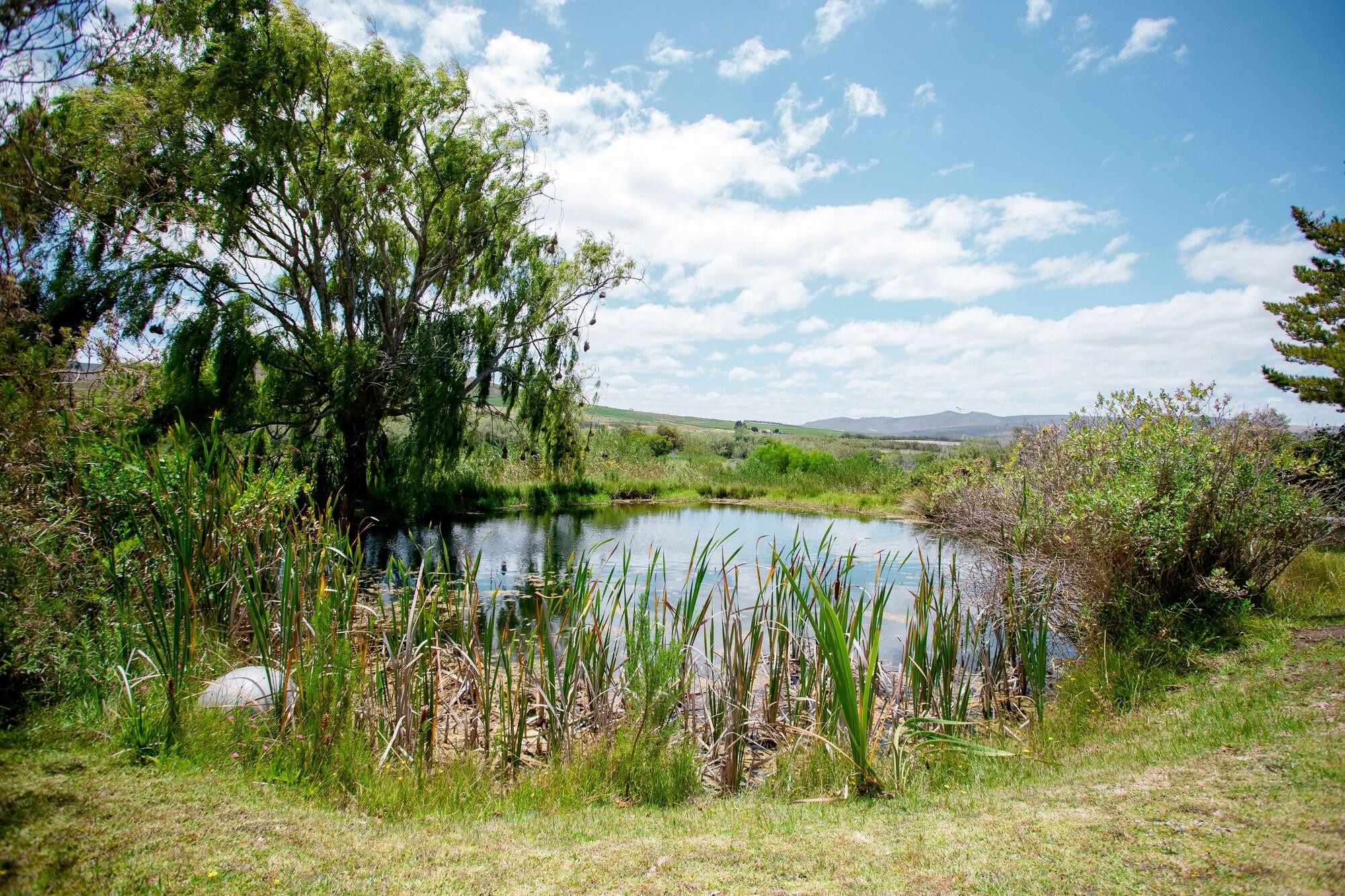 Varios Uylenvlei Retreat