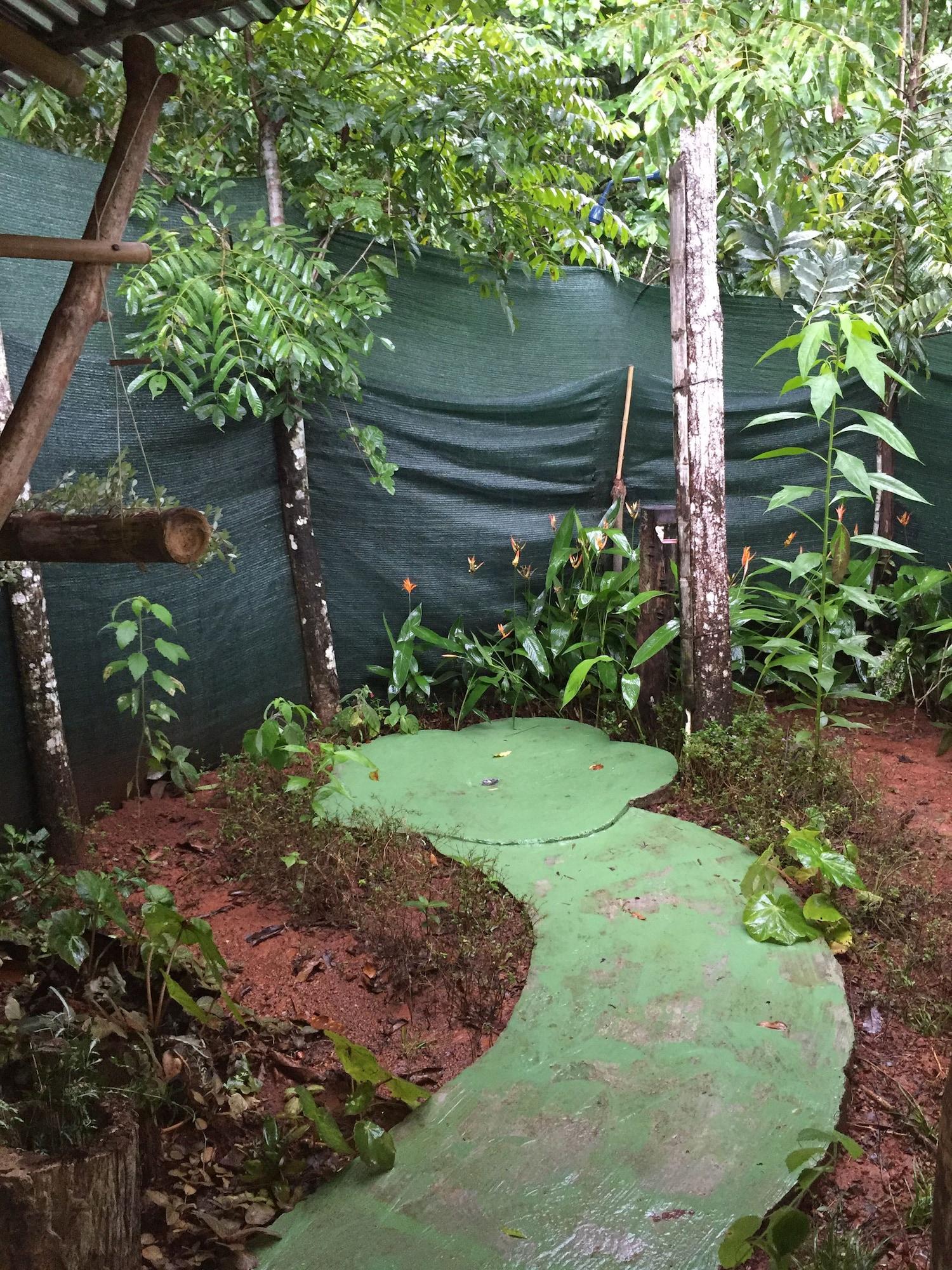 Varios Isla Violin Eco Lodge