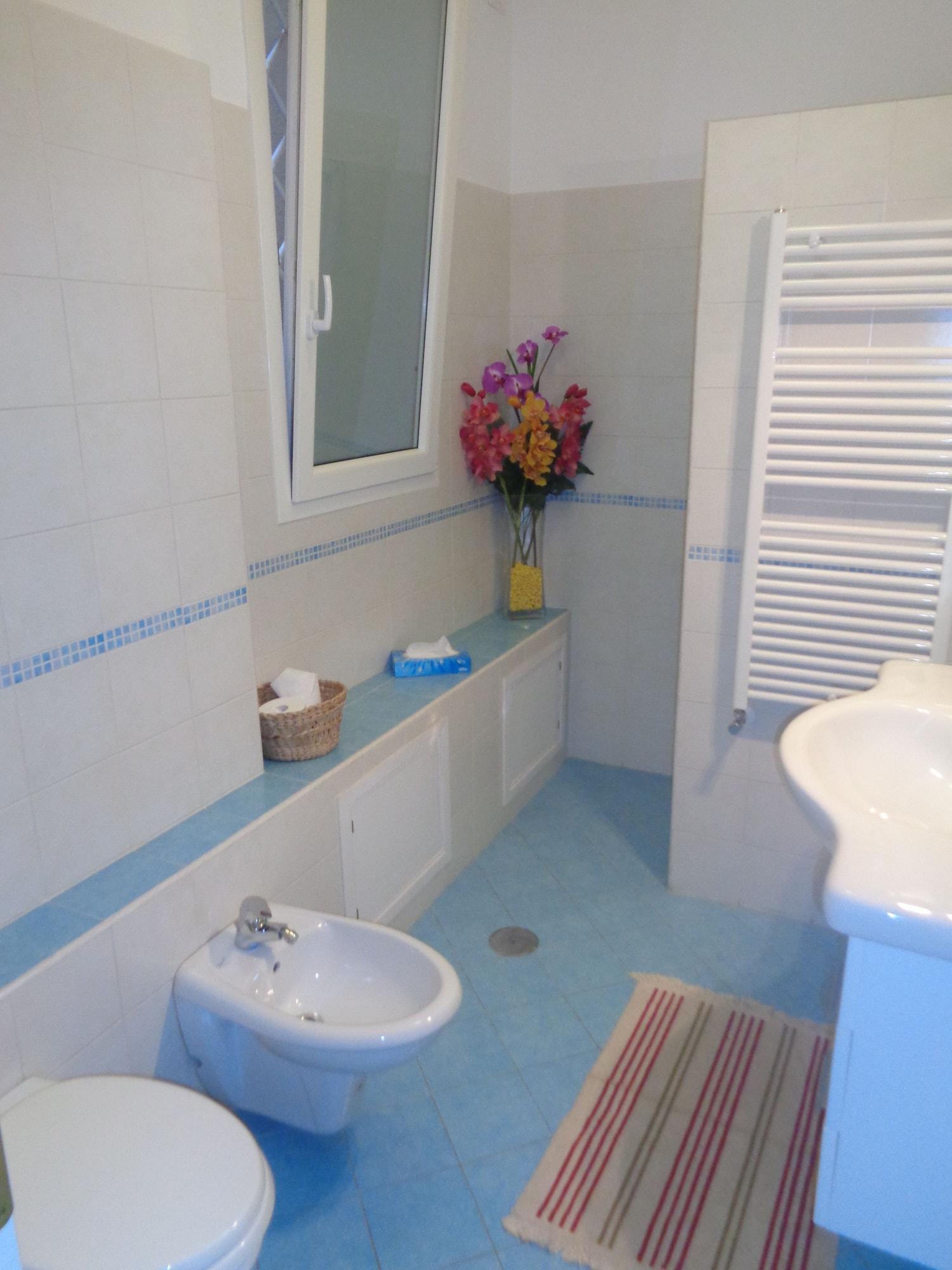 Equipamiento de Habitación Vatican Station