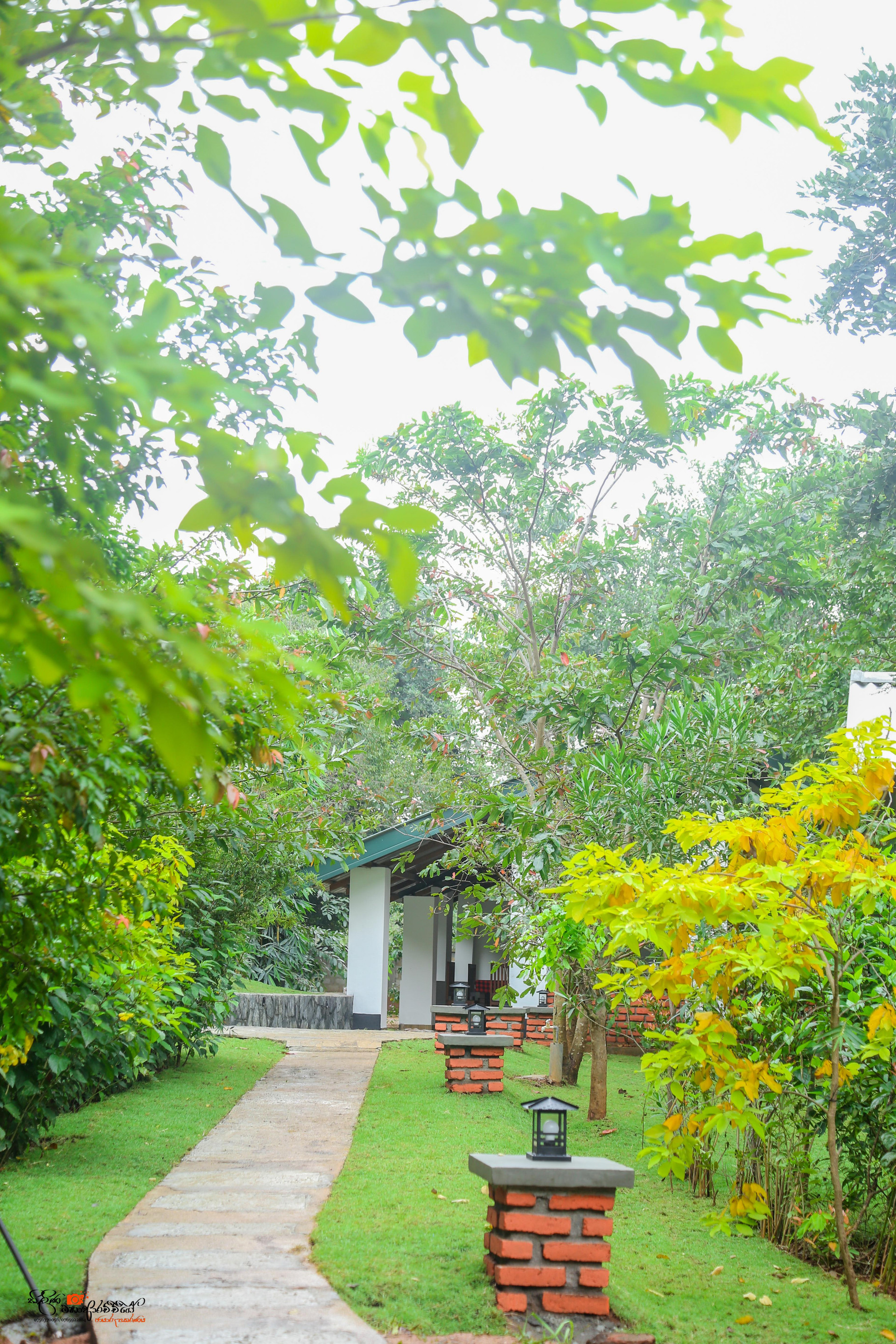 Vista Exterior Naturaliza