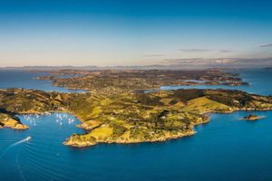Actividad - Isla Waiheke - Esencia del vino Waiheke